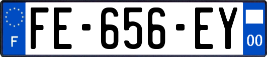 FE-656-EY