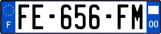 FE-656-FM