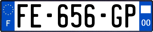 FE-656-GP