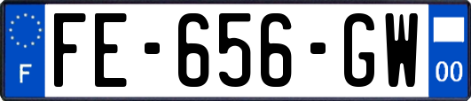 FE-656-GW