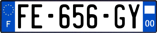 FE-656-GY