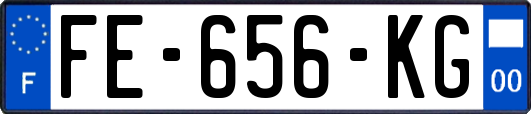 FE-656-KG