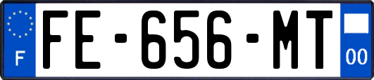 FE-656-MT