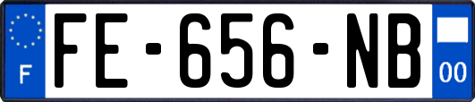 FE-656-NB