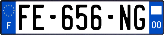 FE-656-NG