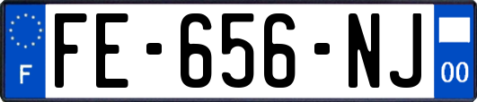 FE-656-NJ