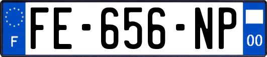 FE-656-NP