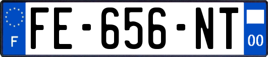 FE-656-NT