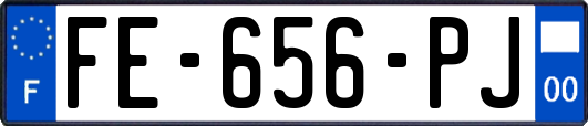 FE-656-PJ