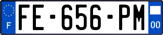 FE-656-PM
