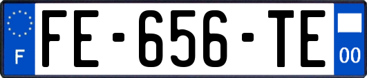 FE-656-TE