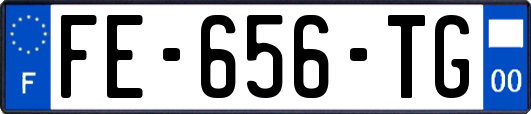 FE-656-TG