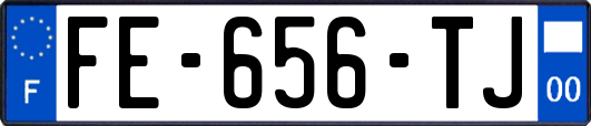 FE-656-TJ