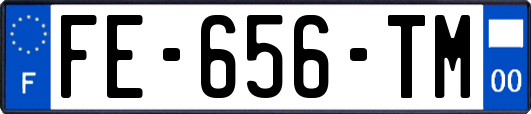 FE-656-TM