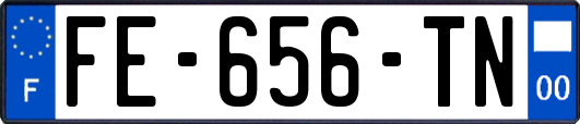 FE-656-TN