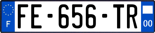 FE-656-TR
