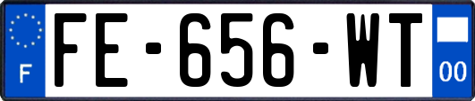 FE-656-WT
