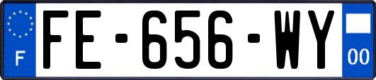 FE-656-WY