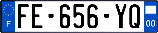 FE-656-YQ
