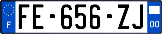 FE-656-ZJ