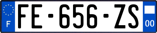 FE-656-ZS