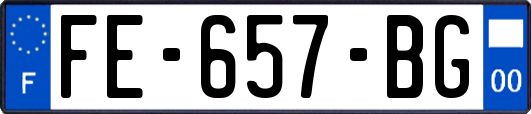 FE-657-BG