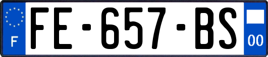 FE-657-BS