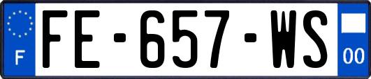 FE-657-WS