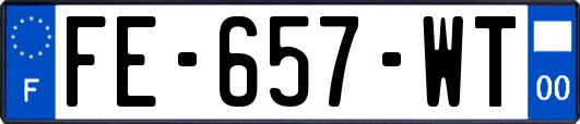 FE-657-WT