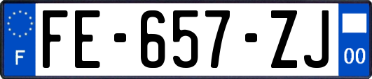 FE-657-ZJ