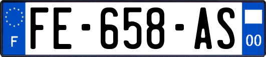 FE-658-AS
