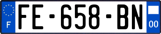 FE-658-BN