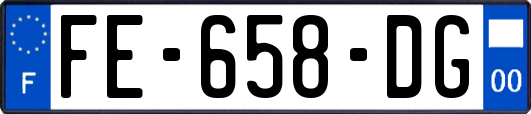 FE-658-DG