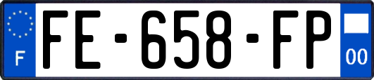 FE-658-FP