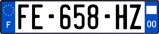 FE-658-HZ