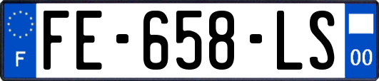 FE-658-LS
