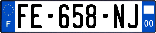 FE-658-NJ