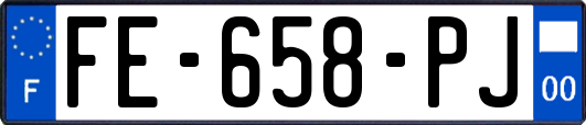 FE-658-PJ