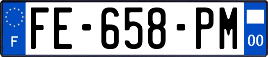 FE-658-PM