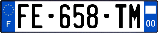 FE-658-TM