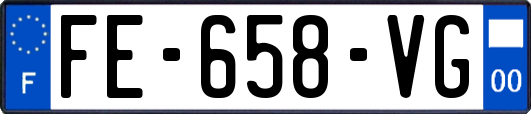 FE-658-VG
