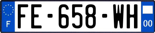 FE-658-WH