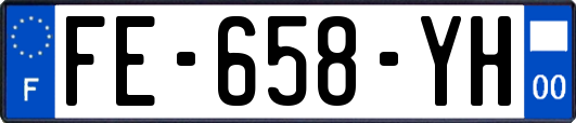 FE-658-YH