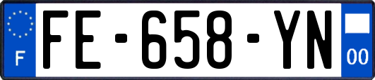 FE-658-YN