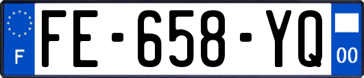 FE-658-YQ