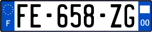 FE-658-ZG