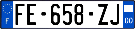 FE-658-ZJ