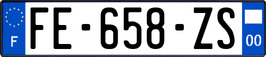 FE-658-ZS