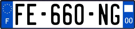FE-660-NG
