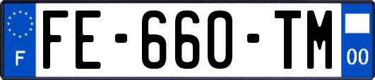 FE-660-TM
